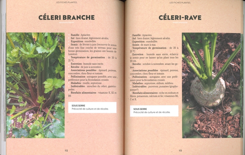Cultiver en serre pour récolter toute l'année - éd Rustica