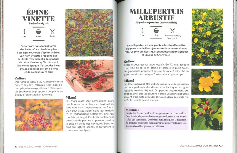 Foodscaping créer un jardin esthétique et comestible