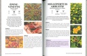 Foodscaping créer un jardin esthétique et comestible