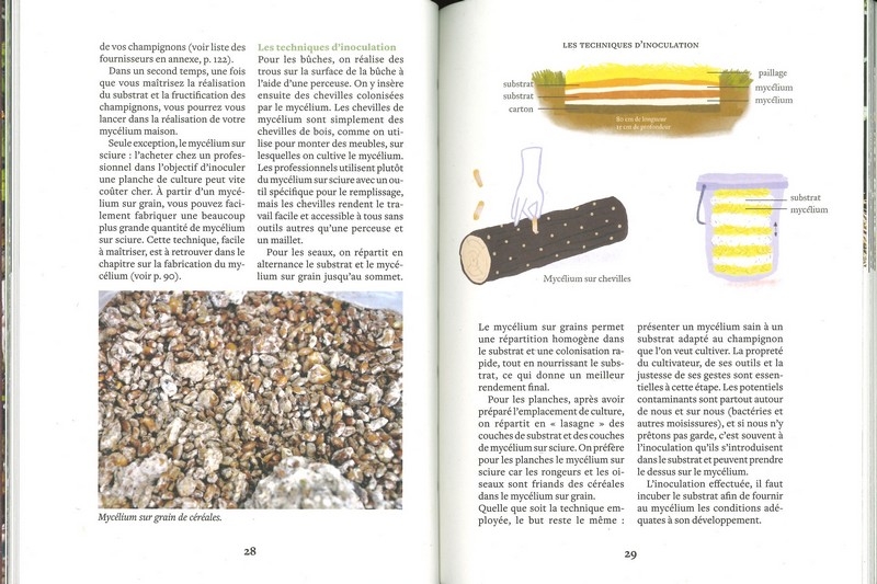Cultiver ses champignons