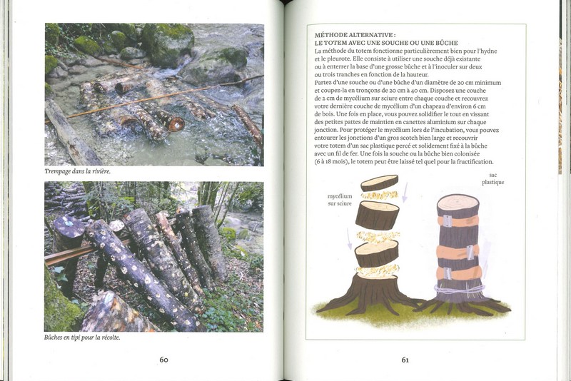 Cultiver ses champignons