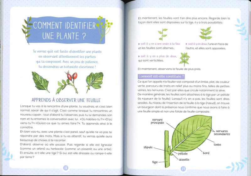 Les plantes sauvages comestibles mon petit guide nature - Rusti'kids
