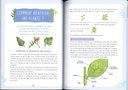 Les plantes sauvages comestibles mon petit guide nature - Rusti'kids