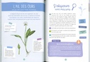 Les plantes sauvages comestibles mon petit guide nature - Rusti'kids