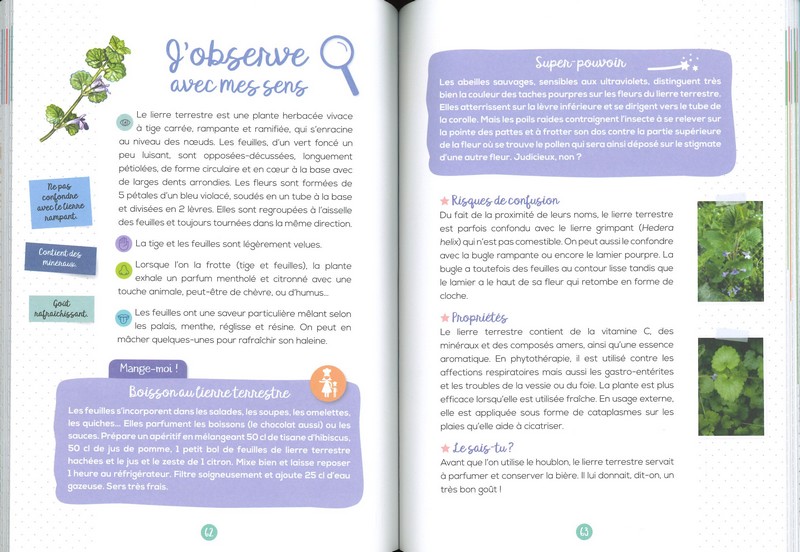 Les plantes sauvages comestibles mon petit guide nature - Rusti'kids