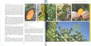 Légumes et canicule