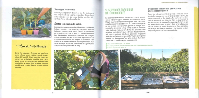 Légumes et canicule