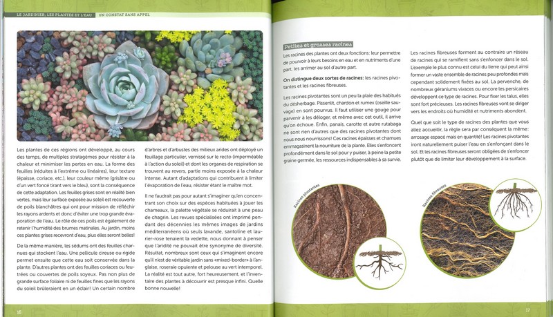 Un Jardin économe en eau