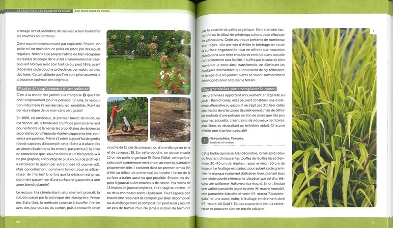 Un Jardin économe en eau