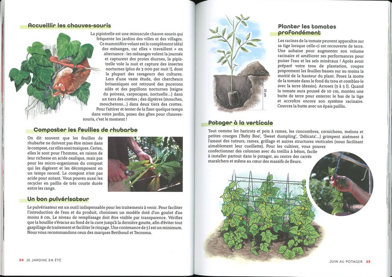 Je jardine en été