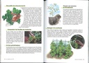 Je jardine en été