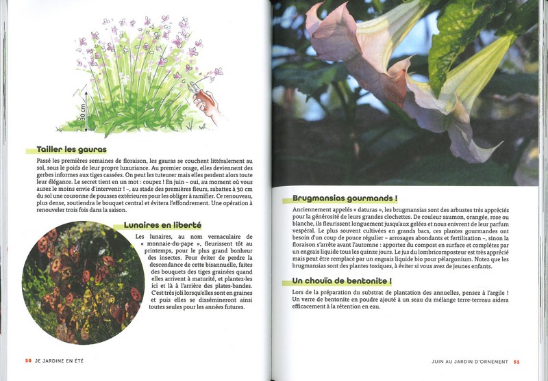 Je jardine en été