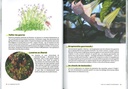 Je jardine en été