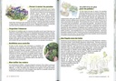 Je jardine en été