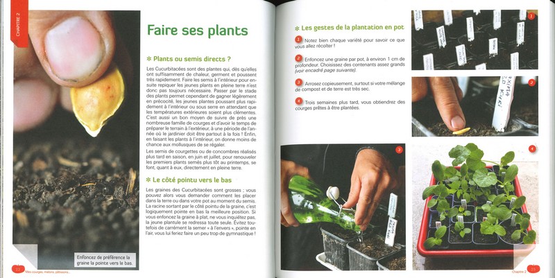 Mes courges, melons, pâtissons… - épuisé