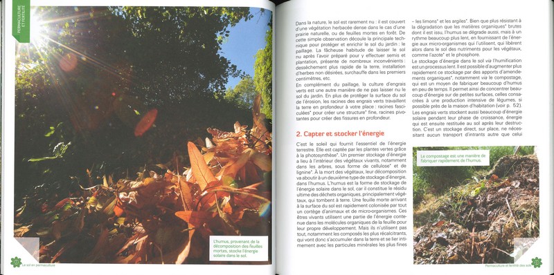 Le Sol en permaculture