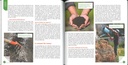 Le Sol en permaculture
