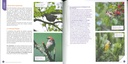 J'accueille et j'observe les oiseaux dans le jardin