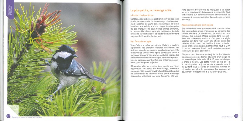 J'accueille et j'observe les oiseaux dans le jardin