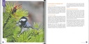 J'accueille et j'observe les oiseaux dans le jardin
