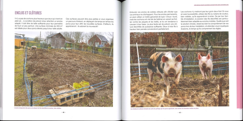 Elever des cochons... pourquoi pas? - derniers exemplaires