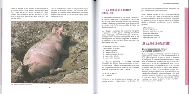 Elever des cochons... pourquoi pas? - derniers exemplaires