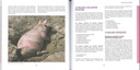 Elever des cochons... pourquoi pas? - derniers exemplaires