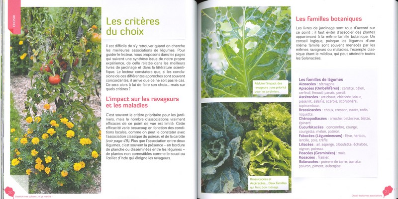 J'associe mes cultures… et ça marche !
