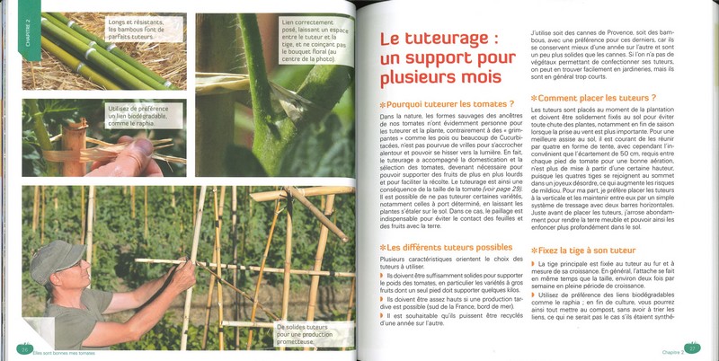 Elles sont bonnes mes tomates !