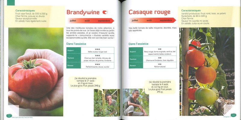 Elles sont bonnes mes tomates !