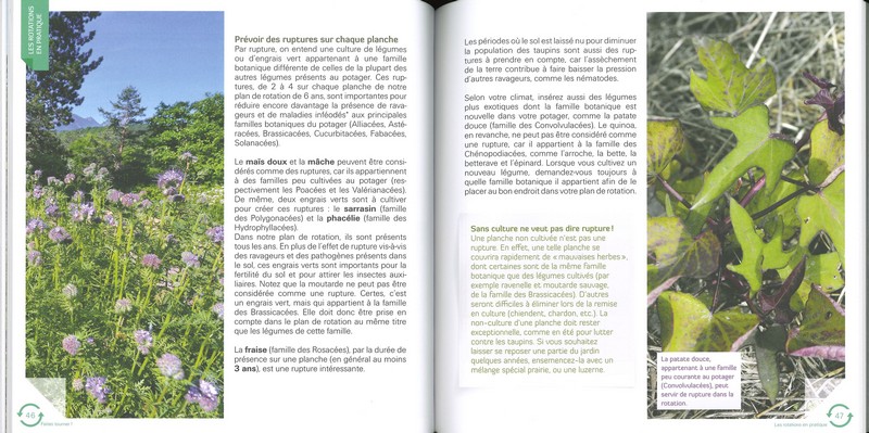 Faites tourner ! Les rotations dans mon potager