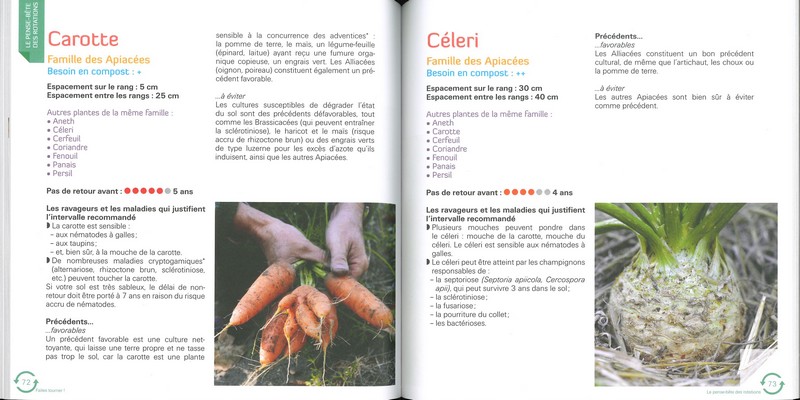 Faites tourner ! Les rotations dans mon potager