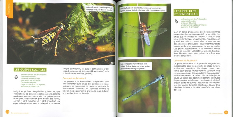Des auxiliaires dans mon jardin !