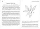 Ces plantes qui nous veulent du bien (Tome 2)