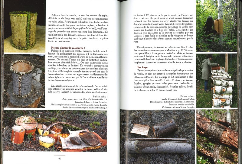 La vannerie sauvage l'art de tresser la nature