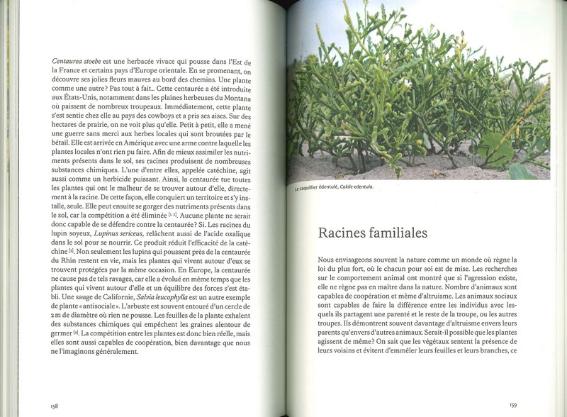 l'intelligence des plantes