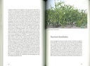 l'intelligence des plantes