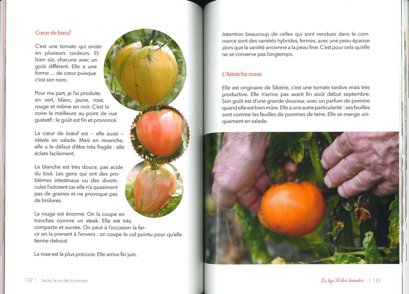 Jacky le Roi de la tomate