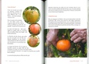 Jacky le Roi de la tomate