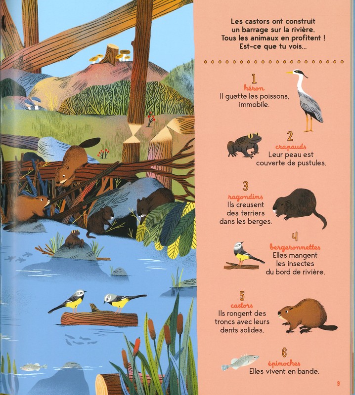 Les plus beaux cherche et trouve... de la petite Salamandre...