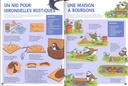 Mes bricolages  nature au fil des saisons