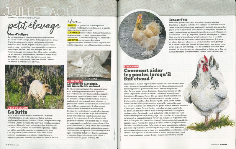 Revue 4 saisons N°279