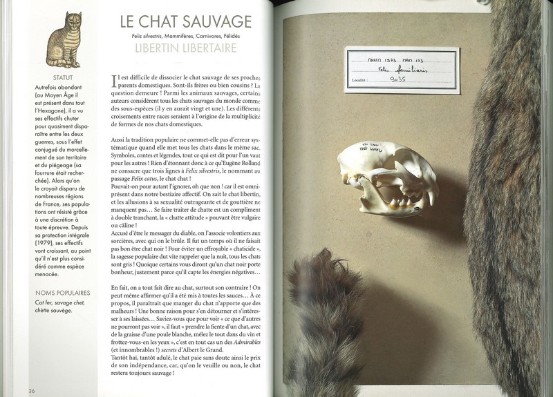 Le bestiaire sauvage - version poche