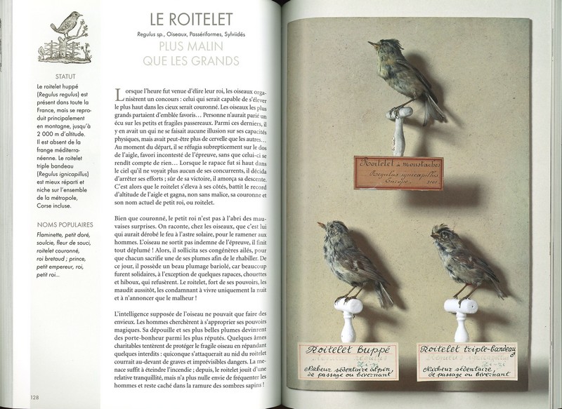 Le bestiaire sauvage - version poche