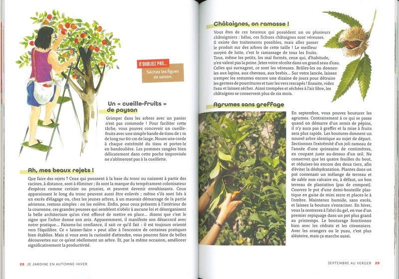 Je jardine en automne et en hiver