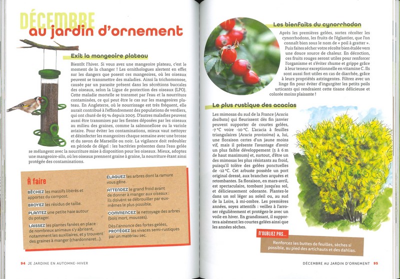 Je jardine en automne et en hiver