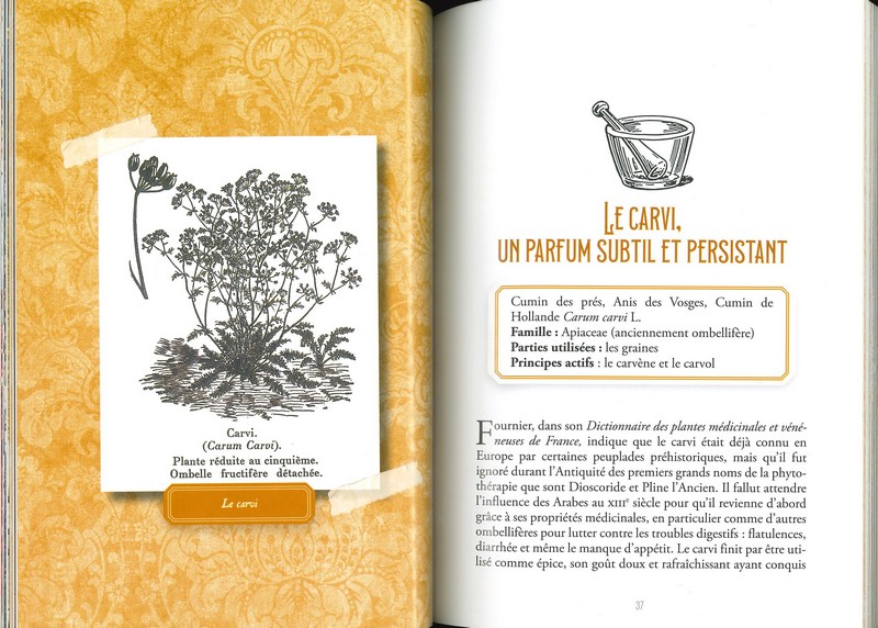 Le comptoir des épices