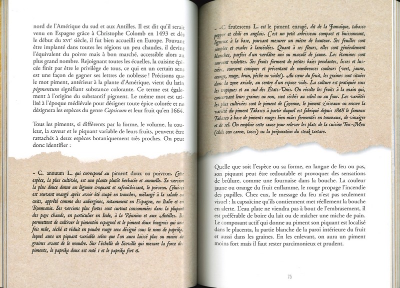 Le comptoir des épices