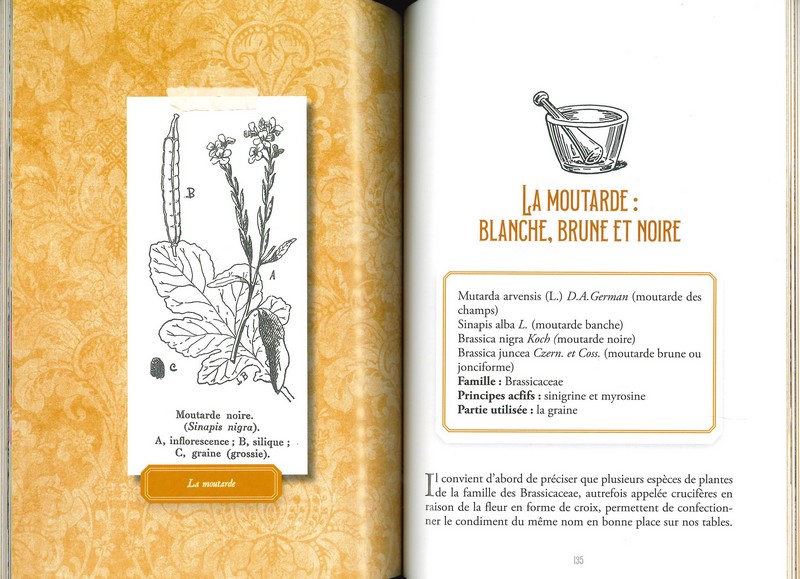 Le comptoir des épices
