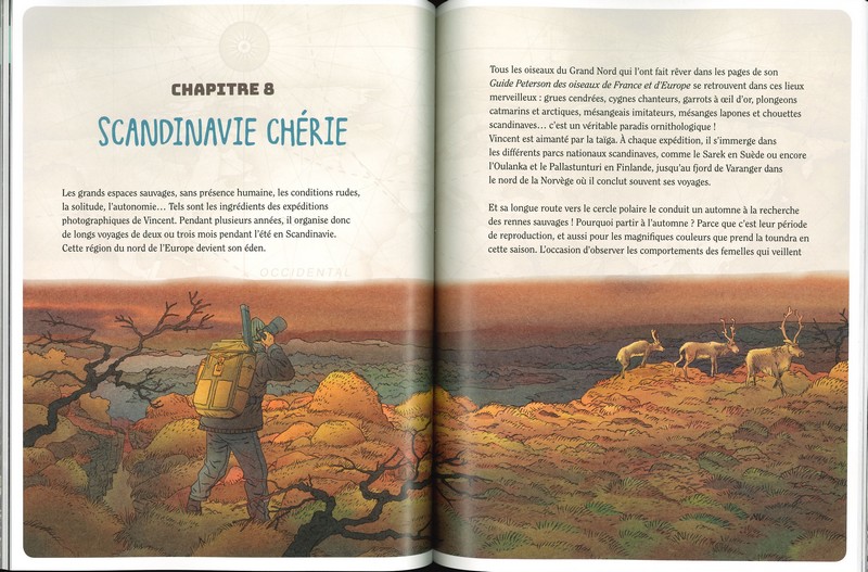 Approche les animaux sauvages avec Vincent Munier
